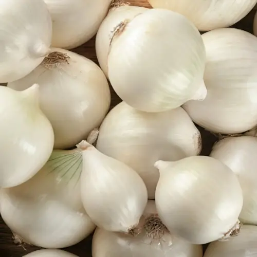 White Onion